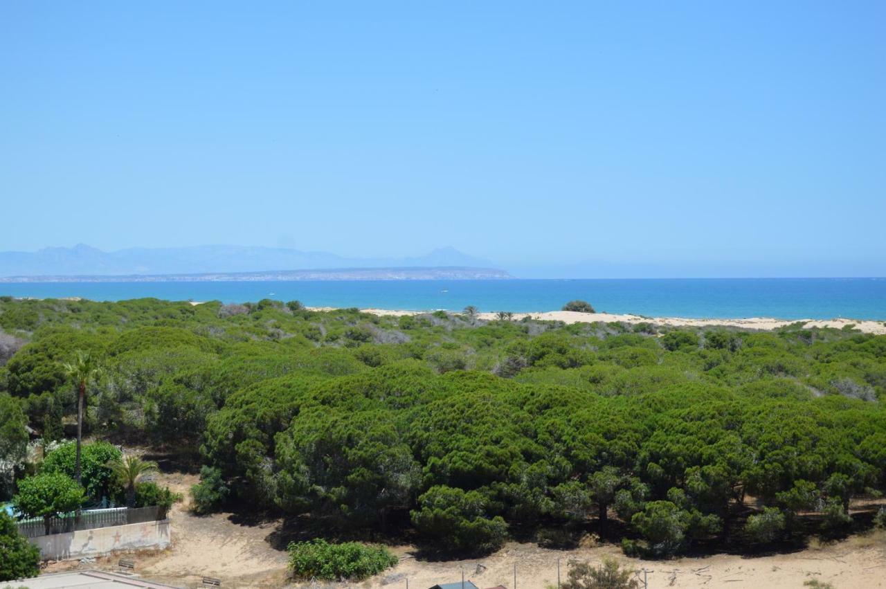 Studio Bellavista Apartment La Mata  Bagian luar foto